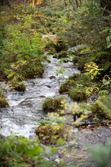 秋の渓流の流れ