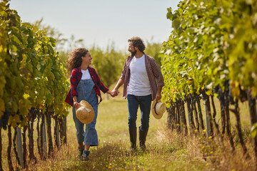 A couple walks hand in hand through rows of grapevines under the warm sun, enjoying the beauty of their vineyard and the work of their family business in wine production.