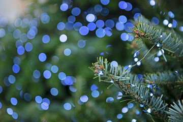 Garland with lights on Christmas tree. Blue lights on a garland. Texture for postcards. Place for advertising. Bokeh. Copy space.