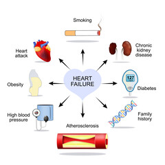 Risk factors of heart failure. Heart Attack.