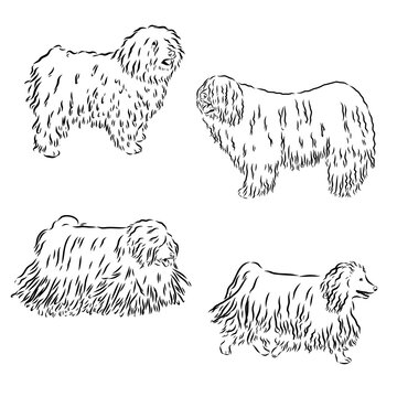  puli dog logo design