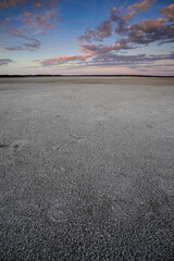 Desert environment landcape, La Pampa province, Patagonia, Argentina.