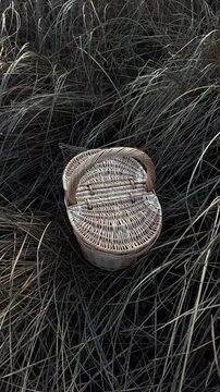 A wicker basket with a lid in tall, dry grass in autumn. A gentle breeze. Picnic basket, mushroom basket. Handmade, minimalist style, workshop