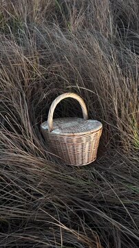 A wicker basket with a lid in tall, dry grass in autumn. A gentle breeze. Picnic basket, mushroom basket. Handmade, minimalist style, workshop