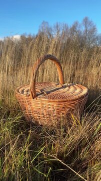 A wicker basket with a lid in tall dry grass in the sunset light of an autumn setting. Picnic basket, mushroom basket. Handmade, minimalist style, workshop