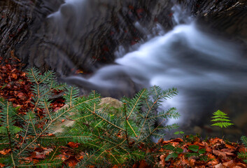 Jesienna impresja, wodospad, woda, ruch, przepływ, kamienie, tapeta, dekoracja.