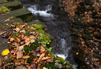 Jesienna impresja, wodospad, woda, ruch, przepływ, kamienie, tapeta, dekoracja. © mycatherina