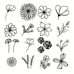 Whimsical hand drawn floral elements and botanical line art collection for creative design projects