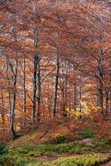 Monte Giovo, provincia di Modena, Emilia Romagna