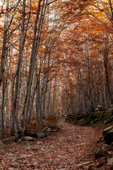 Monte Giovo, provincia di Modena, Emilia Romagna