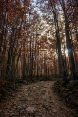 Monte Giovo, provincia di Modena, Emilia Romagna