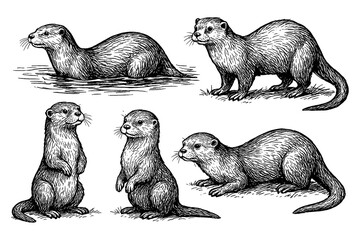 Otters in hand drawn sketch style, Transparent Background