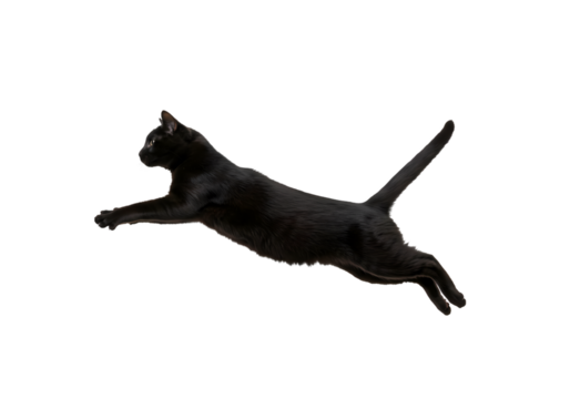 Agile Black Cat Mid-Air Pounce Action on white background