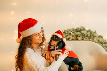 female hands dress a santa claus costume on a dog. new year clothes for pets.