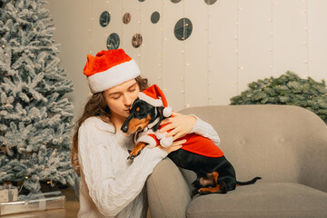 female hands dress a santa claus costume on a dog. new year clothes for pets.