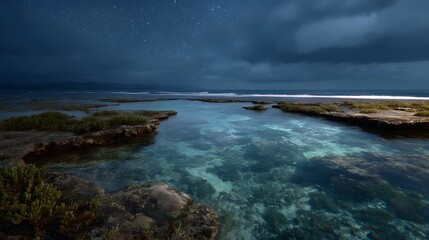 A serene nighttime seascape featuring clear shallow tide pools reflecting the starry sky and dramatic clouds over a rocky coast
