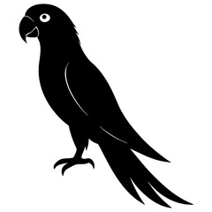 vector illustration of a bird