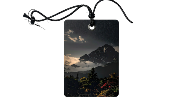 Tag shows misty mountain, evergreens, moody sky