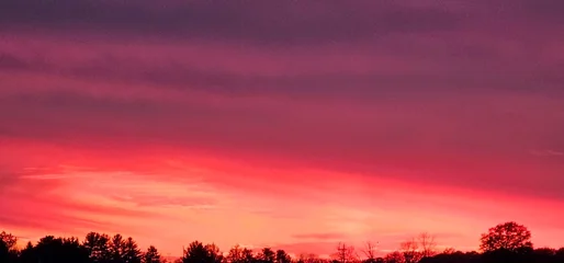 Fotobehang Crimson sunset in the field  © Lisa