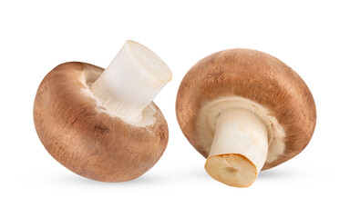 Fresh champignon mushrooms isolated on transparent png ( image from camera )