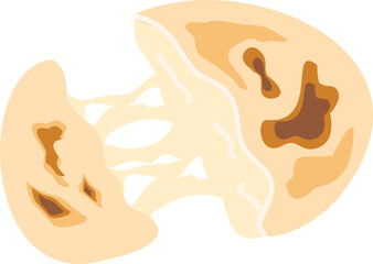 Arepas with Cheese, Delicious Cheesy Bread with Melting Mozzarella