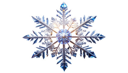 Macro photograph of a single intricate snowflake crystal.