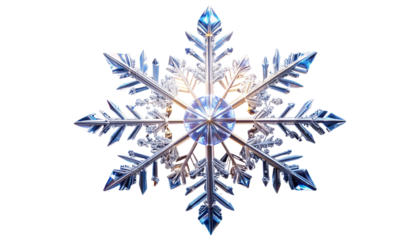 Macro photograph of a single intricate snowflake crystal.