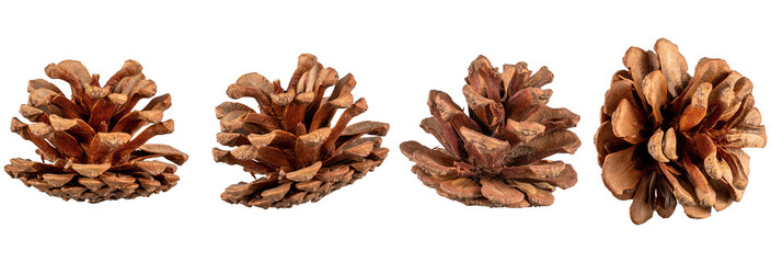set of pine cones isolated on transparent background,christmas decoration isolated on white,xmas brown pine cones ornament,christmas ornament isolated,christmas nut