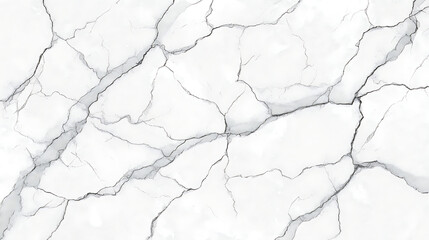 White marble surface with intricate dark grey veins texture