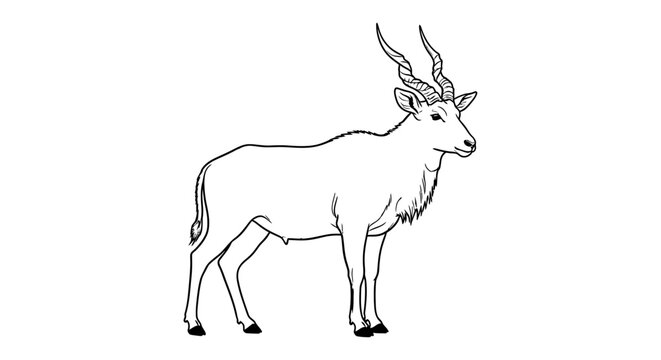 Illustration of a standing eland with detailed spiral horns on white