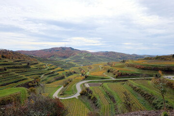 Der Texaspass im Kaiserstuhl im Herbst
