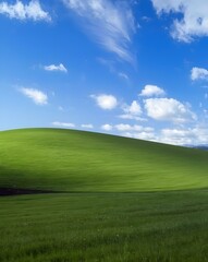 Obraz premium Bright green grassy hill under clear blue sky with white clouds in vivid daylight