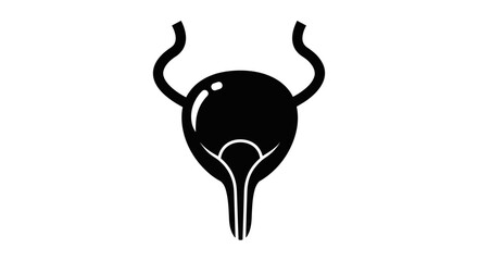 Human bladder anatomy silhouette medical illustration.