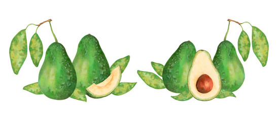 Fruit composition featuring a whole, half sliced ​​avocado with leaves. Watercolor  illustration. Hand drawn isolated art. Botanical sketch of the vegetable for food packaging, juice or menu items