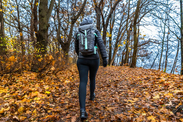 Mature woman hiking on path in forest on autumn day. Back view	