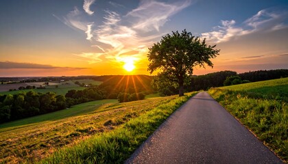 Golden Sunset Over Lush Green Fields with a Solitary Tree and Winding Path.
