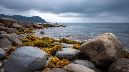 A moody stormy sky over a rugged rocky coastline with scattered boulders and vibrant seaweed