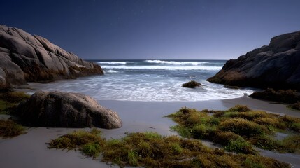 A tranquil night view of a rocky beach with gentle ocean waves seaweed and a starry sky