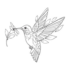 Peaceful Hummingbird with Olive Branch Black White Vector