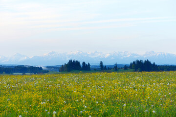 Allg&auml;u, Landschaft