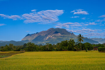 Fototapeta premium Beautiful view of Doi Luang Chiang Dao Mountain and hill with green field blue sky, Chiang Mai, Thailand
