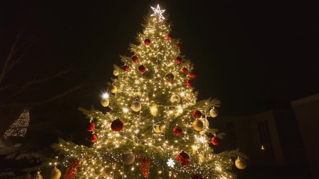 Leuchtender Weihnachtsbaum in der Nacht