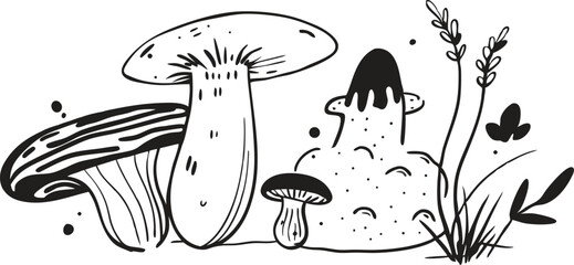 vector illustration of mushrooms