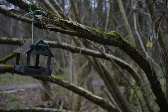 Bird House