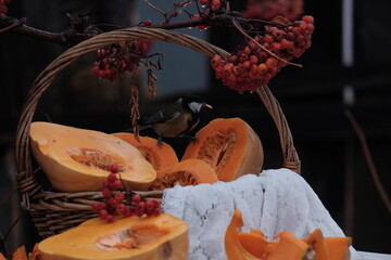 autumn still life