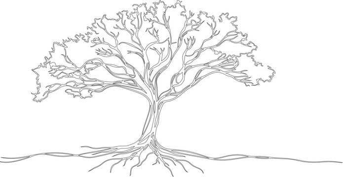 Silhouette or line art or sketch art of tree with roots drawn by handmade with various sketch lines.