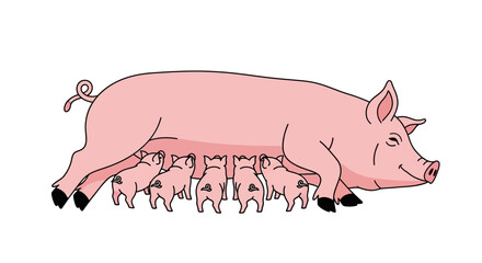 Happy Mother Pig Feeding Piglets Family Farm and Animal Care Illustration