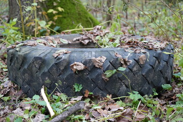 A wheel in the grass