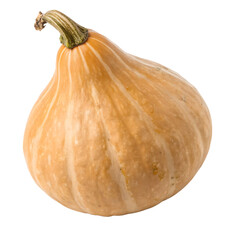 A whole fig leaf gourd isolated on a transparent background
