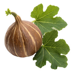 A whole fig leaf gourd isolated on a transparent background
